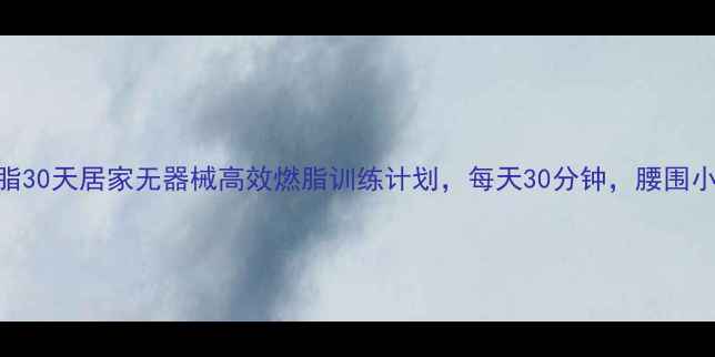 图片 科学减脂30天居家无器械高效燃脂训练计划，每天30分钟，腰围小3cm！2