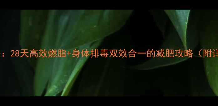 图片 科学断食排毒法：28天高效燃脂+身体排毒双效合一的减肥攻略（附详细操作指南）2
