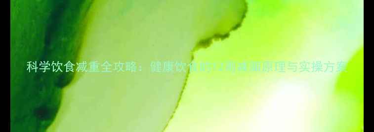 图片 科学饮食减重全攻略：健康饮食的12周减脂原理与实操方案