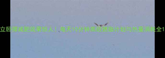 图片 立卧撑减肥效果惊人！每天10分钟高效燃脂计划与热量消耗全1