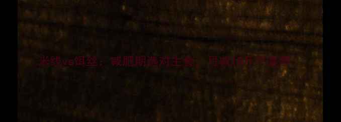 图片 米线vs饵丝：减肥期选对主食，月减10斤不是梦！
