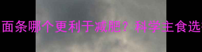 图片 米饭与面条哪个更利于减肥？科学主食选择指南