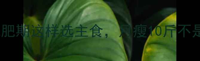 图片 米饭热量vs馒头热量！减肥期这样选主食，月瘦10斤不是梦（附低卡主食清单）2