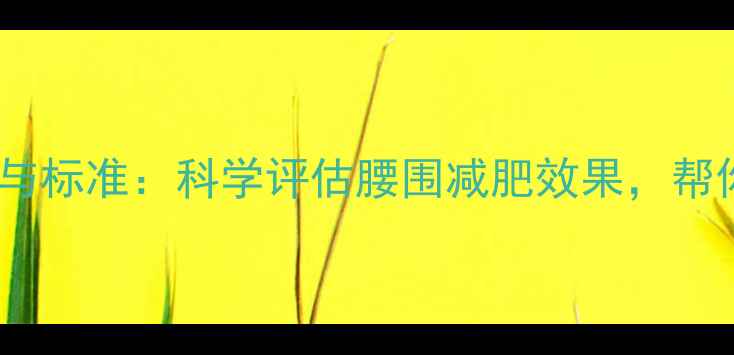 图片 精准测量腰围的方法与标准：科学评估腰围减肥效果，帮你找到健康减脂关键2