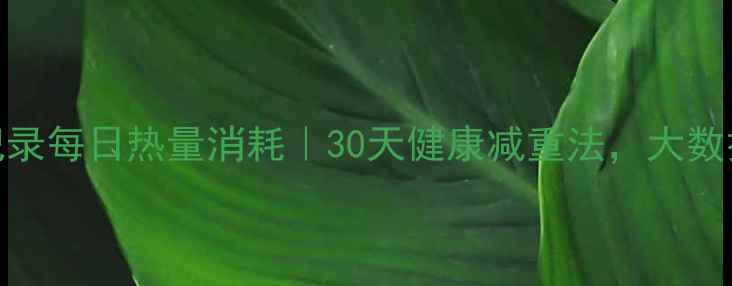 图片 精准记录每日热量消耗｜30天健康减重法，大数据推荐