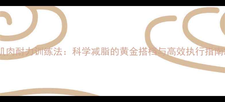 图片 肌肉耐力训练法：科学减脂的黄金搭档与高效执行指南2
