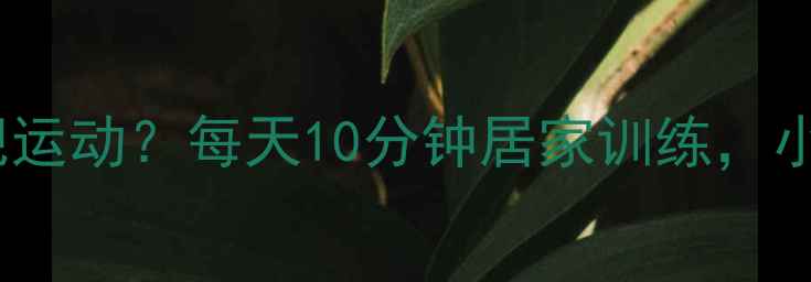 图片 肚子大怎么减肥运动？每天10分钟居家训练，小腹紧致如初！1
