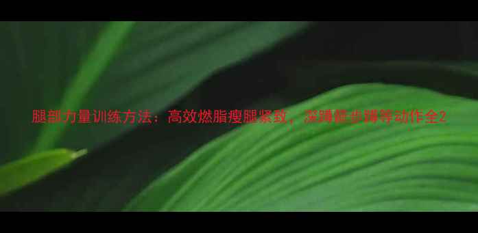 图片 腿部力量训练方法：高效燃脂瘦腿紧致，深蹲箭步蹲等动作全2