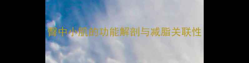 图片 臀中小肌的功能解剖与减脂关联性