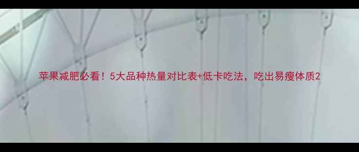 图片 苹果减肥必看！5大品种热量对比表+低卡吃法，吃出易瘦体质2