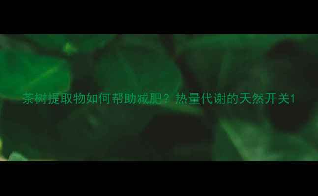 图片 茶树提取物如何帮助减肥？热量代谢的天然开关1