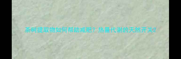 图片 茶树提取物如何帮助减肥？热量代谢的天然开关2