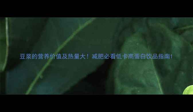 图片 豆浆的营养价值及热量大！减肥必看低卡高蛋白饮品指南1