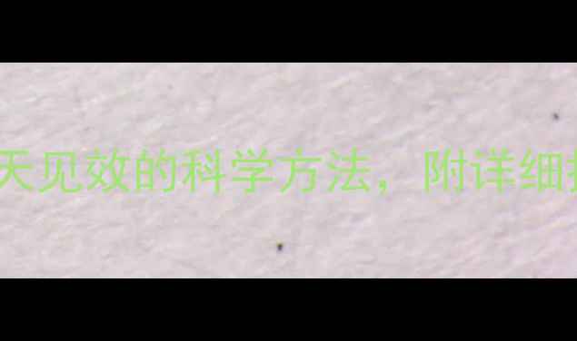 图片 过午不食减肥法：7天见效的科学方法，附详细执行指南及注意事项