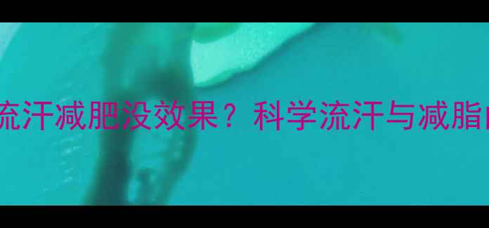 图片 运动不流汗减肥没效果？科学流汗与减脂的真相2