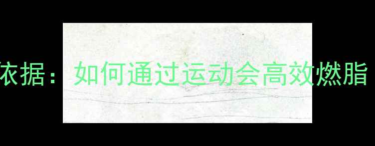 图片 运动会减肥科学依据：如何通过运动会高效燃脂（附训练方案）1