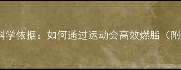 图片 运动会减肥科学依据：如何通过运动会高效燃脂（附训练方案）2