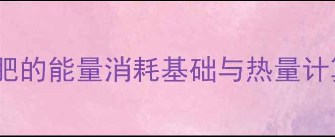 图片 运动减肥的能量消耗基础与热量计算法则1