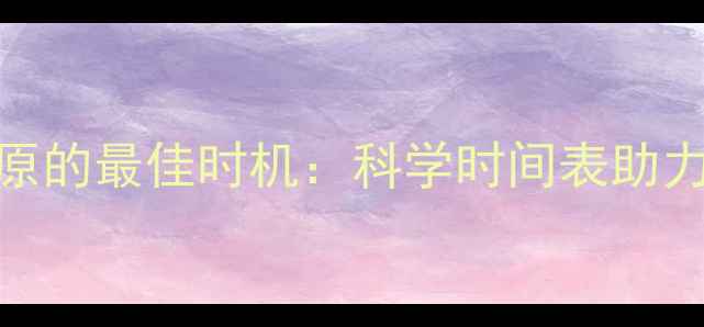 图片 运动后补充糖原的最佳时机：科学时间表助力减肥减脂增肌