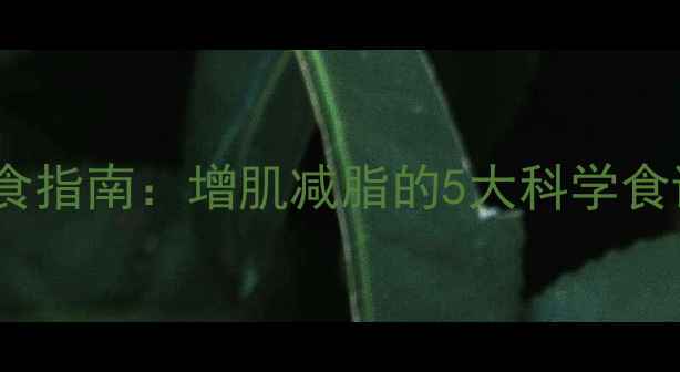 图片 运动员减脂饮食指南：增肌减脂的5大科学食谱与营养搭配1