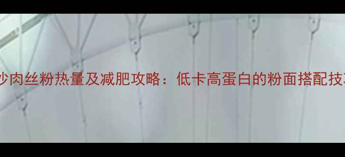 图片 长沙肉丝粉热量及减肥攻略：低卡高蛋白的粉面搭配技巧1