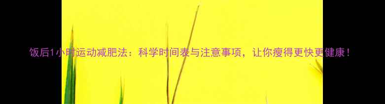 图片 饭后1小时运动减肥法：科学时间表与注意事项，让你瘦得更快更健康！