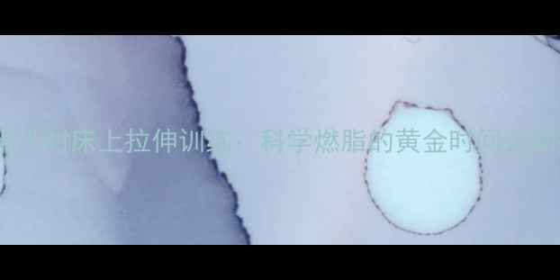 图片 饭后半小时床上拉伸训练：科学燃脂的黄金时间运动指南1