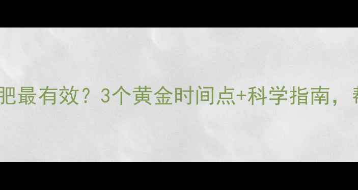 图片 饭后隔多久运动减肥最有效？3个黄金时间点+科学指南，帮你高效燃脂减重2
