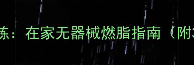 图片 高效减脂训练：在家无器械燃脂指南（附30天计划）2