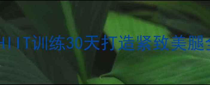 图片 高效燃脂+瘦腿塑形！HIIT训练30天打造紧致美腿全攻略（附动作图解）
