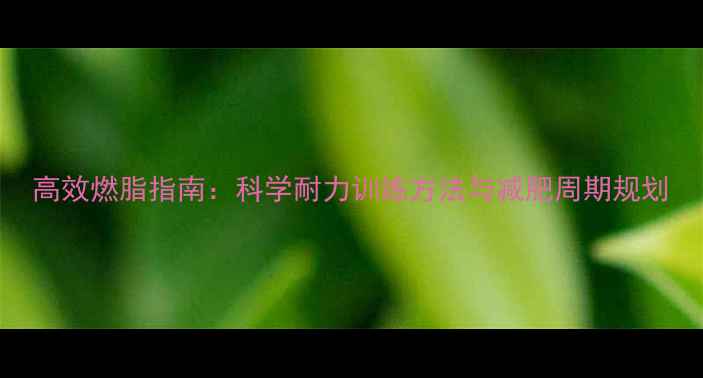 图片 高效燃脂指南：科学耐力训练方法与减肥周期规划