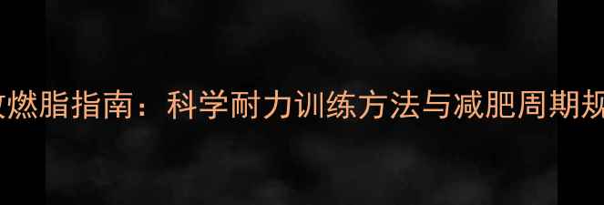 图片 高效燃脂指南：科学耐力训练方法与减肥周期规划1