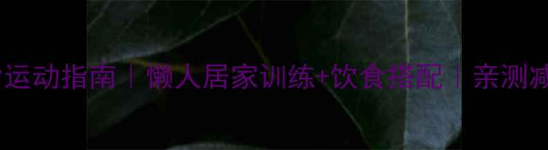 图片 高效燃脂运动指南｜懒人居家训练+饮食搭配｜亲测减重15斤2