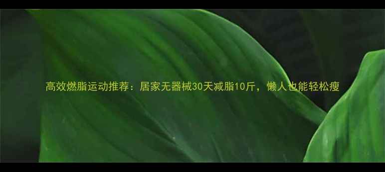 图片 高效燃脂运动推荐：居家无器械30天减脂10斤，懒人也能轻松瘦
