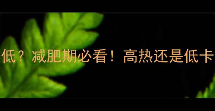 图片 🌟粉丝汤面热量高还是低？减肥期必看！高热还是低卡？粉丝汤面热量大🔥🌟