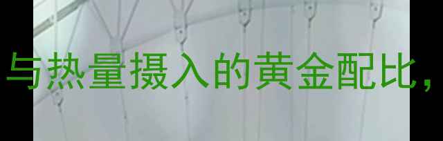 图片 🌟高效减肥期必看！热量缺口与热量摄入的黄金配比，这样吃才能瘦得快不反弹🌟2