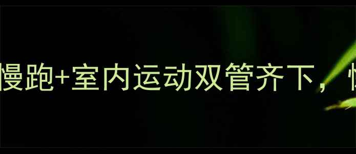 图片 💥30天瘦10斤！慢跑+室内运动双管齐下，懒人也能轻松瘦1
