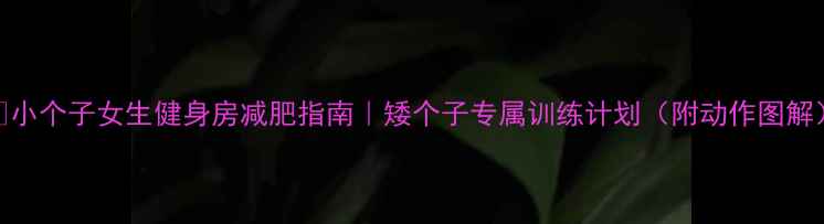图片 💪小个子女生健身房减肥指南｜矮个子专属训练计划（附动作图解）
