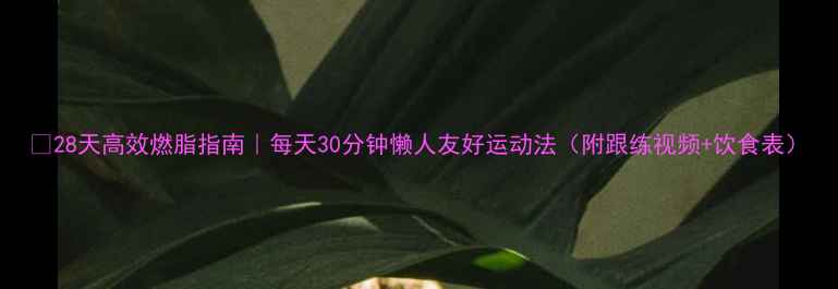 图片 🔥28天高效燃脂指南｜每天30分钟懒人友好运动法（附跟练视频+饮食表）