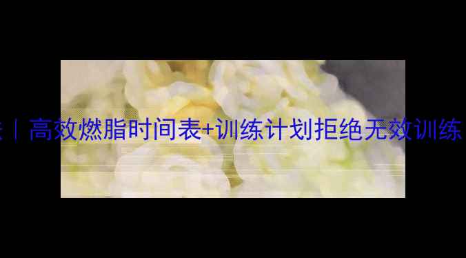 图片 🔥30分钟天无氧运动减肥法｜高效燃脂时间表+训练计划拒绝无效训练！这样练才能瘦肚子瘦大腿