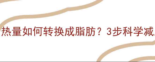 图片 🔥减肥必看！热量如何转换成脂肪？3步科学减脂法大公开🔥