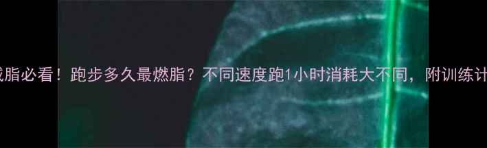 图片 🔥减脂必看！跑步多久最燃脂？不同速度跑1小时消耗大不同，附训练计划1