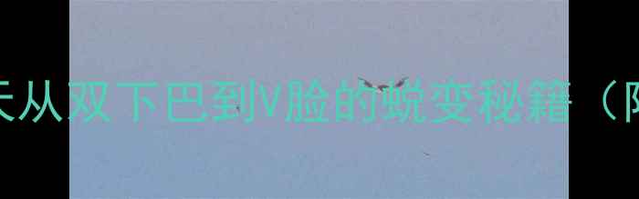 图片 🔥面部减肥全攻略｜28天从双下巴到V脸的蜕变秘籍（附科学原理+真实案例）1